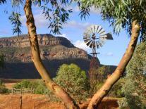 Wine & Wildlife from £599